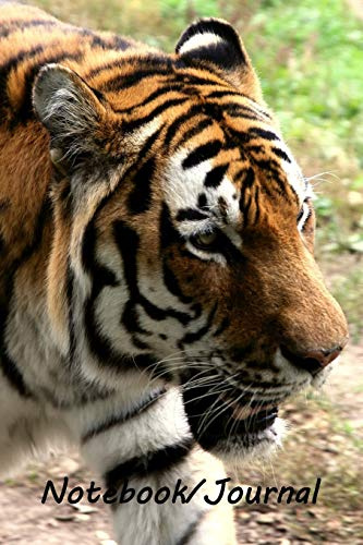 Notebook/Journal: Amur Tiger #1 - Wildlife and Inspirational Notebook/Journal – 128 lined pages in a 6x9 inch Softcover Notebook (Wildlife Asia)