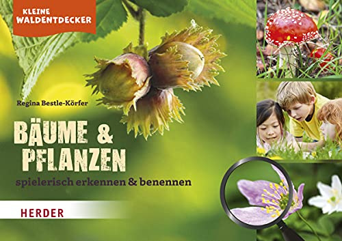 Kleine Waldentdecker: Bäume & Pflanzen: spielerisch erkennen und benennen