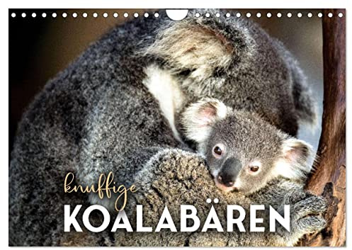 Knuffige Koalabären (Wandkalender 2026 DIN A4 quer), CALVENDO Monatskalender: Schläfrige Bären. (CALVENDO Tiere)