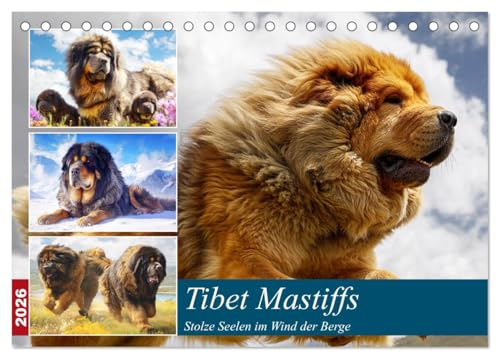 Tibet Mastiffs. Stolze Seelen im Wind der Berge (Tischkalender 2026 DIN A5 quer), CALVENDO Monatskalender: Wildromantische Bilder von majestätischen und kraftvollen Hunden (CALVENDO Tiere)