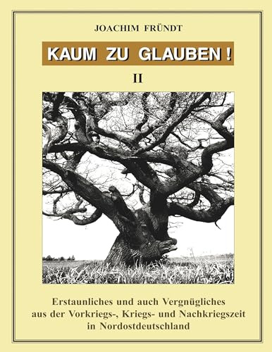 Kaum zu glauben!: Band 2