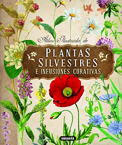Plantas silvestres e infusiones curativas (Atlas Ilustrado)