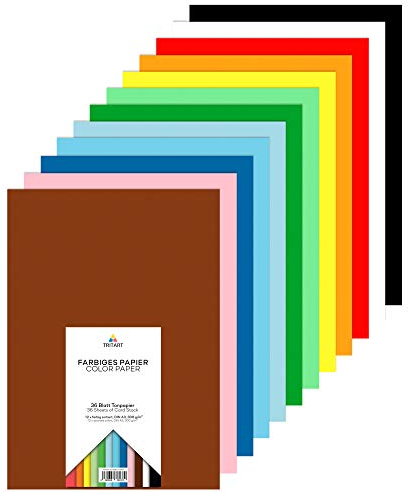 Tritart Lot 60 Papier Cartonné - Papier Aquarelle 300g Carton a Dessin A3-36 Feuille A3 de 12 Couleurs Différentes - Papier A3 avec Papier Couleur pour Peinture Bricolage