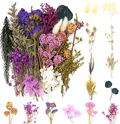 iDattel Natürliche Getrocknete Blumen,Blumen Natürliche Gemischte,DIY Natürliche Getrocknet Blumen Set für Kunst Basteln DIY Harz Scrapbooking Handwerk Karten Machen(violett)