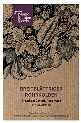Breitblättriger Rohrkolben (Typha latifolia) - ca. 1000 Samen