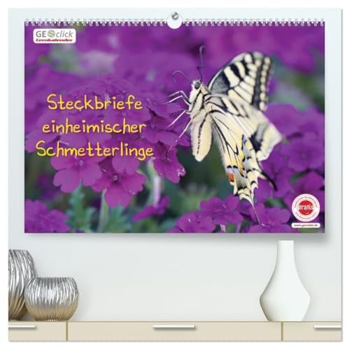 GEOclick Lernkalender: Steckbriefe einheimischer Schmetterlinge (hochwertiger Premium Wandkalender 2026 DIN A2 quer), Kunstdruck in Hochglanz: Fotos ... mit kindgerechten Texten (CALVENDO Tiere)