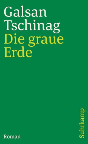 Die graue Erde: Roman (suhrkamp taschenbuch)
