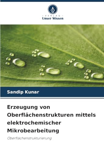 Erzeugung von Oberflächenstrukturen mittels elektrochemischer Mikrobearbeitung: Oberflächenstrukturierung