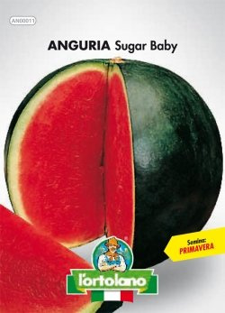 Sementi orticole di qualità l'ortolano in busta termosaldata (160 varietà) (ANGURIA SUGAR BABY)