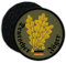 Copytec Patch Deutscher Jäger BW Jägertruppe Eichenlaub Abzeichen Aufnäher #23252