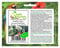 Pezzi - 10x Buddleja Saligna Schmetterlingsflieder Piante - Seme B1950 - Seeds & Plants Shop by Ipsa