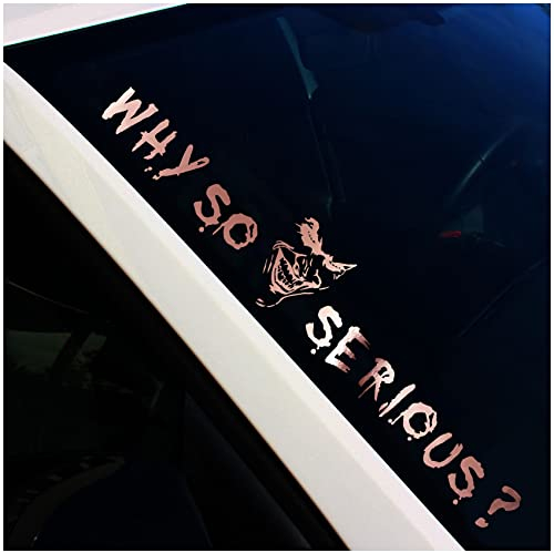 Finest Folia Frontscheibenaufkleber Schriftzug Why so serious? Joker Aufkleber für Windschutzscheibe Heckscheibe Frontscheibe Auto Fahrzeug Dekor Sticker FS56 (Rosegold Chrom, Außenklebend)