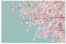 Bilderwelten Fototapete Blumen 190cm x 288cm Modern Natur Kirschblüte Blumentapete Vliestapete Tapete Wanddeko Ideen Wohnzimmer Schlafzimmer Küche