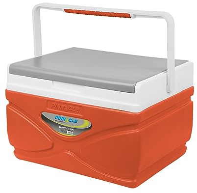 Picknickkühler – 4,5 Liter Hartkühler – Kühlbox hält den Inhalt 48 Stunden kühl – BPA-freier Outdoor-Kühler – Tragbarer Kühler für Picknick, Grill, Camping