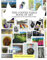 The Coffee Table Book Of Art: A Compilation Of Ink and Acrylic Works