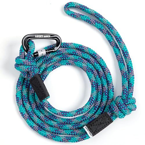 LUCKY LUCY Hundeleine 2m, für mittel & große Hunde (bis 80kg), reflektierend, mit starkem Aluminium sicherheitskarabiner, schöner Seeblau