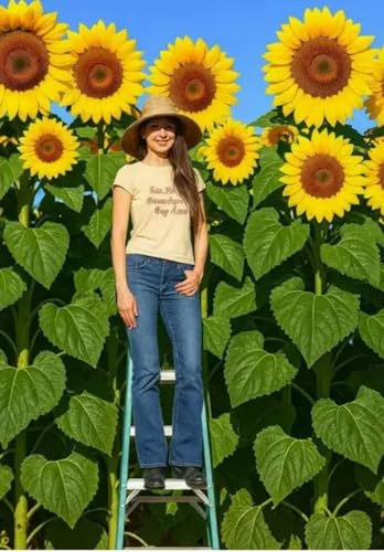 100 Skyscraper Sunflower Seeds | Giant Tall Sunflowers for Planting