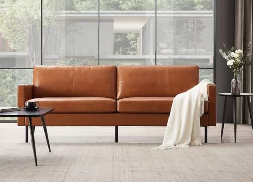 Z-hom Ledercouch 001 (Hellbrau, 2-Sitzer)