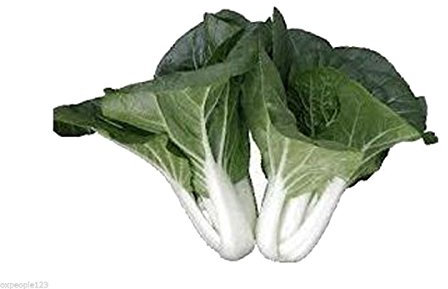 Portal Cool 2000 Semillas: Original Cantón Milky Dwarf Semillas Pak Choi Bok Choy col de China
