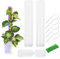 NbgrvB Enrejado modular de poste de musgo para plantas trepadoras, diseño desmontable 2 en 1 para monstera/filodendro, plástico duro con agujeros para nutrientes, sistema de soporte para plantas de