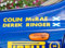 555 Colin McRAE Derek Ring 555 V Limited Wing Rallye-Aufkleber, 4 Stück mit schottischer Flagge
