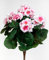 Geranie 38cm rosa -ohne Topf- ZF Kunstpflanzen künstliche Blumen Pflanzen Kunstblumen … (rosa)