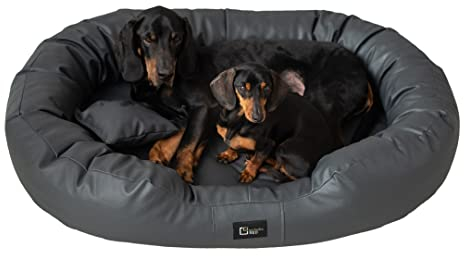 exclusive BED Orthopädisches Hundebett Nancy Premium Grosse Mittelgroße Kleine Hunde - Hundekissen Hundematte aus Öko-Leder - rutschfest Langlebig Abriebfest Reißfest (XXL, Anthrazit)
