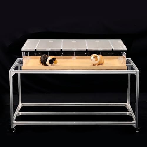GuineaLoft™ Model-A2 Acrylic Guinea Pig Cage w/Translucent Gauze Lid | Supporting Beams & Connect/Roaming Doors, Large 4x2ft Expandable C&C Cage, Works Also For Bunnies, Button Quails, Hedgehogs