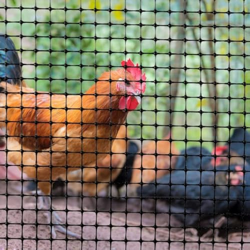 Wiederverwendbares Geflügel-Hühnernetz, schwarzer Kunststoff-Gartenzaun, Tierbarriere, Kaninchen, Ziegen, Hirsche, Garten, Gemüsenetz(1.2x50m/3.3x164ft)