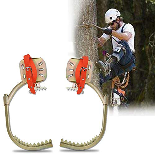 GBHJJ Non-Slip Pole Climbing Spikes, Stainless Steel Tree Climbing Crampons, Electrician'S Foot Buckle, Rust Protection, Wear-Resistant, Easy to Pick Fruits,450Model