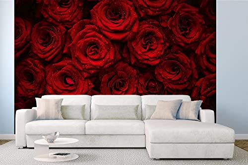 Vlies Fototapete SCHÖNE ROTE ROSEN 375 x 250 cm (inkl. Kleister) - Vlies Tapete, Wandtapete, Wandbilder - Tapete für Wohnzimmer Schlafzimmer, Büro, Küche - Montagefertig