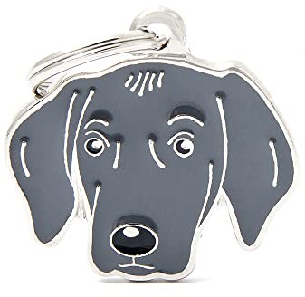 MyFamily - Placa para perro personalizada, con forma de Weimaraner, placa de perro con grabado gratis, esmaltada a mano de metal, colección Friends