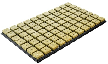 GREEN24 77 Steinwollewürfel Anzuchtblock 36x36x40mm im Kunststofftray (Einweg) - Steinwolle für Pflanzenanzucht und Hydroponik - Für Samen, Saatgut und Stecklinge