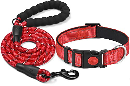 haapaw reflektierendes Hundehalsband gepolstert mit weichem Neopren atmungsaktiv einstellbar Nylon Hundehalsbänder für kleine mittlere große Hunde