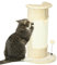 Rascador esquinero PawHut, 58cm rascador de sisal, rascador para Gatos, pequeño rascador para Gatos con Bola rascadora, Muebles de Interior para Gatos, Blanco Crema