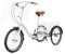 Quiltern 20 Trike Dreirad für Erwachsene Seniorenrad 3-Räder Fahrrad mit Einkaufskorb Fahrzeughöhe frei einstellbar