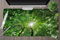 Tapis de Souris Gaming XXL 60x30x0.2 cm Grand Tapis de Souris,avec Bords Cousus Base en Caoutchouc Antidérapant,Surface Spéciale Améliore Précision pour Maison,Bureau,Gamer (Soleil de la forêt Verte)