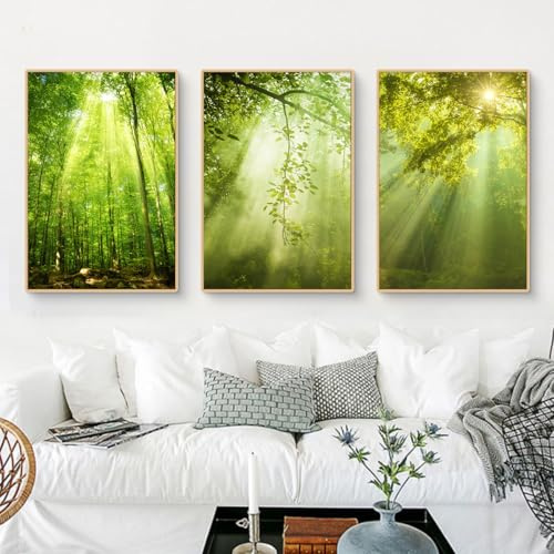 Uixxducc 3er Poster Set Bilder Wohnzimmer, Wald in der Sonne – Natur Landschaft Bilder Poster & Kunstdrucke Wandbilder, Wohnzimmer Deko Schlafzimmer Büro Kinderzimmer, Ohne Rahmen (30x40cm,ABC)