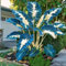 100 Elefantenohrsamenpflanzen,hosta pflanze winterhart,seltene tropische Pflanzen, winterhartegroße Pflanzen, kältebeständige mehrjährige Elefantenohren, winterharte pflanzen für garten