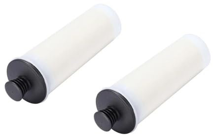 Szwaldaper For SC Series SC1 SC2 SC3 SC4 SC5 SC7 CTK10 CTK20 Vacuum Cleaner Descaling Cartridge Filter Rod 2.863-018.0 28630180 steam cleaner replacement parts(2 Pcs)