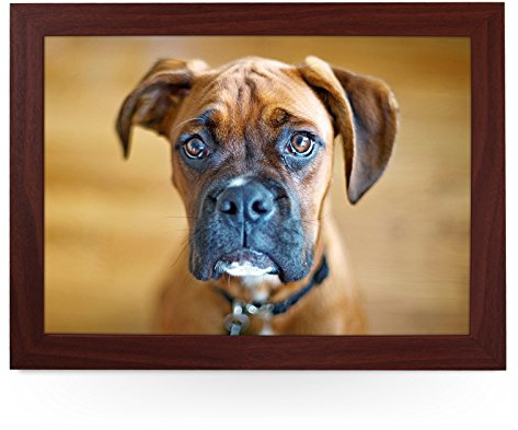Portable Lap Desk Tray (Boxer Dog) Handmade Wooden Frame, Beanbag Cushioned Bottom | Computers, Laptops, Meals, Food | L0169 Brown
