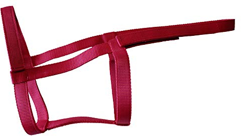 Rhinegold Halfter, metallfrei, 0, Himbeere, Volle Größe
