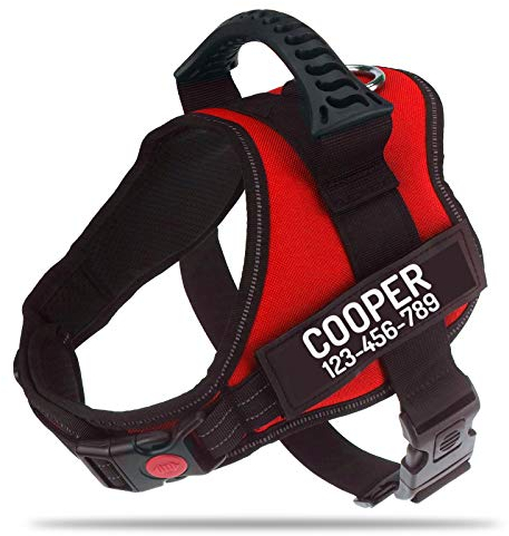 PawPawify Hundegeschirr gegen Ziehen, mit personalisierbarem Namen und Telefonnummer, strapazierfähig, verhindert Zerren, Ziehen oder Würgen, für Training und Spazierengehen