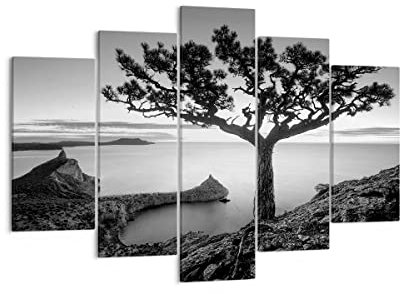 Moderne Impression sur Toile 150x100cm Image Tableau Decoration Murale Arbre Noir Et Blanc Vue Tableaux Decoratifs Muraux Chambre Triptyque 5 parties Deco Décoration Salon Art Wall EA150x100-4297