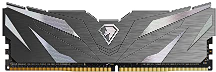 Netac DDR4 2666MHz 8GB, Memoria de Escritorio DDR4, Kit de Memoria DDR4, Memoria para Juegos 8GB, con Disipador de Calor, Negro