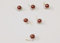 Haarschmuck - 6 Haarspiralen Curlies mit Perlen in der Farbe braun - Brautschmuck