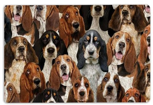 Door Mat A Bunch Of Basset Hounds Dog Pattern Gifts For Dog Lover Welcome Non-Slip Mats Funny Doormat Bathroom Kitchen Front Porch Rugs Entrance 16 * 24in/40 * 60cm