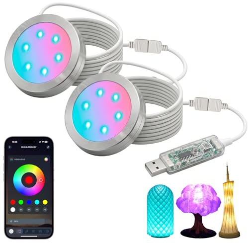 2 Stück RGB LED Lamp Kit 001 für Bambu Lab 3D-Druck, Bluetooth-App-Steuerung, USB LED Rundleuchte, DIY Lampen-Bausatz, Gruppensteuerung, Musiksynchronisation, 16 Millionen Farben