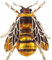 Goodplan Broche Bohème Abeille Épingle Animal Insectes Vêtements Chapeau Décor Accessoire Créatif Durable et Utile Noir ou Brun
