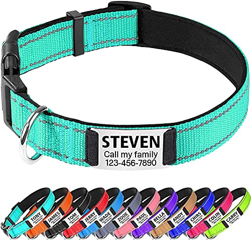 TagME Personalised Dog Collar Reflective Padded Collar for Medium Dogs with Custom Engraved Slide On Name Plate,Teal M